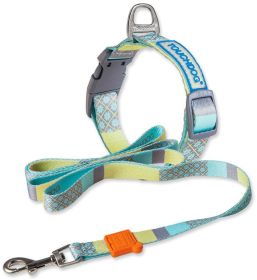 Trendzy 2-in-1 Walking Dog Set (Color: Blue, Size: Small)