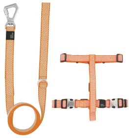 2-in-1 Convertible Dog Walking Set (Color: Orange, Size: Small)