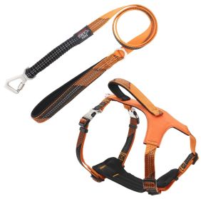 2-in-1 Dog Walking Sets (Color: Orange, Size: Small)