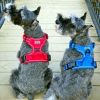 Pull Control Double-Clip Dog Harnesses