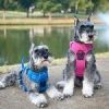 Pull Control Double-Clip Dog Harnesses