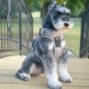 Pull Control Double-Clip Dog Harnesses