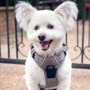 Pull Control Double-Clip Dog Harnesses