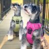 Pull Control Double-Clip Dog Harnesses