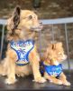 Choke Free Dog Back-Clip Dog Harness